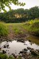 1462 Highway 48 - Photo 35