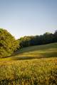 1462 Highway 48 - Photo 41