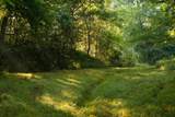 1462 Highway 48 - Photo 46