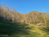 360 Spurlock Hollow Lane - Photo 1
