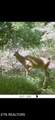 360 Spurlock Hollow Lane - Photo 40