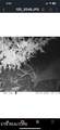 360 Spurlock Hollow Lane - Photo 41
