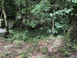 133 Cook Ln - Photo 15