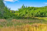 5673 Highway 360 - Photo 11
