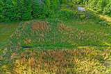 5673 Highway 360 - Photo 10