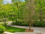 57 Annandale - Photo 90