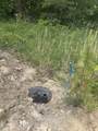 0 Sawmill Creek Rd - Photo 3