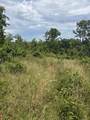 0 Sawmill Creek Rd - Photo 10