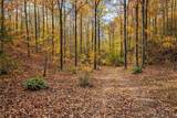 1135 Mink Branch Rd - Photo 48