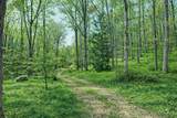 1135 Mink Branch Rd - Photo 58