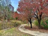 1135 Mink Branch Rd - Photo 79