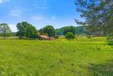 1245 Paint Rock Valley Road - Photo 9