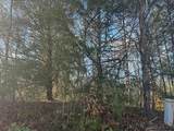 0 Mt Carmel Road - Photo 7