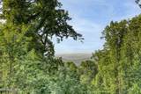 809 Pinecrest Way - Photo 47