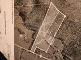 499 County Road 740 - Photo 4