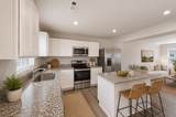 1607 Mountain Ash Ln - Photo 6