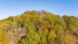 3316 Patton Branch Rd - Photo 8