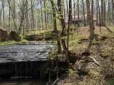 2411 Keazey Hollow Rd - Photo 34