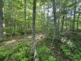0 Bear Knob Ln - Photo 7