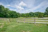 9947 Old Highway 46 - Photo 41