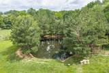 9947 Old Highway 46 - Photo 43