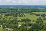 9947 Old Highway 46 - Photo 48