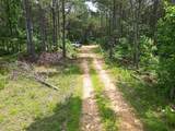 105 Alfred Lane - Photo 28