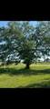 591 White Rd - Photo 4