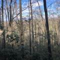 450 Holder Cemetery Road - Photo 1