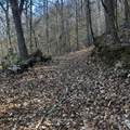 450 Holder Cemetery Road - Photo 2