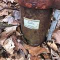 450 Holder Cemetery Road - Photo 11