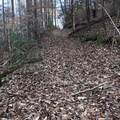 450 Holder Cemetery Road - Photo 12