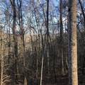 450 Holder Cemetery Road - Photo 4