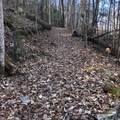 450 Holder Cemetery Road - Photo 5
