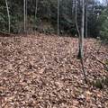 450 Holder Cemetery Road - Photo 7