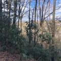 450 Holder Cemetery Road - Photo 8