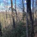 450 Holder Cemetery Road - Photo 9