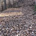 450 Holder Cemetery Road - Photo 10