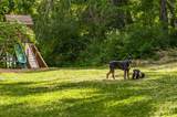 1007A Highland Rd - Photo 38