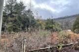 0 Reagan Valley Road - Photo 1
