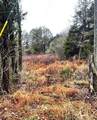 0 Reagan Valley Road - Photo 5