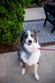 120 Zola Aly - Photo 44