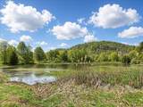 1483 Reagan Valley Road - Photo 74