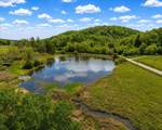 1483 Reagan Valley Road - Photo 77