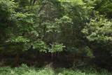 0 Pleasant Shade Hwy - Photo 2