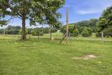 2907 Dodson Gap Rd - Photo 19