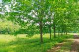 582 Cedar Bend Rd - Photo 3