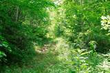 582 Cedar Bend Rd - Photo 21