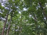 0 Mcdonald Loop - Photo 3