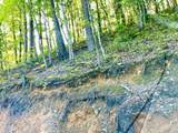 1200 Steer Creek Rd - Photo 19
